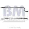 BM CATALYSTS BM50113 Exhaust Pipe